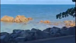 "On The Road" || PORT DOUGLAS QUEENSLAND #shorts #shortsvideo