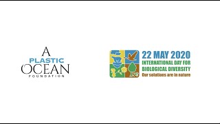 Happy Biodiversity Day 2020!