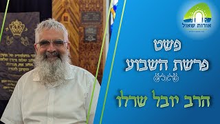 הרב יובל שרלו | פשט פרשת תצוה | במה שונה המנורה?