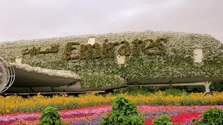 استعد لزيارة جنة من جنان الارض ، رائعة الجمال،حديقة الزهور او حديقة المعجزات بدبي (Miracle Garden )