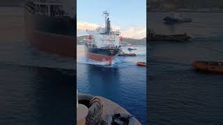 View a Barcos Pilot, Ship🚢 #ship #shorts #pilotboat #pilot #pilotseason #barcos #viral #amazing #sea