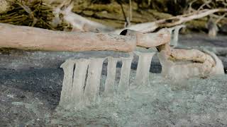 Cool ice features on Lake Michigan shoreline