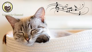 Peaceful Music for Cats - Calming Harp Music to Relax Cats