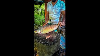 1.5 Kg Big Rohu Fish Skinning And Chopping By A Expert Fish Cutting Skills