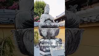 Buddha Was Born In Nepal