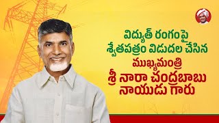 ఏపీ విద్యుత్‌పై శ్వేతపత్రం | Chandrababu Release White Paper On Power Sector Crisis | ADBC Telugu