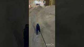 Снегопад. Пошли гулять с собакой #funnyvideo #winter #dog