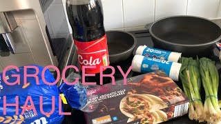 What's in My Grocery Haul & How I Spent My Day!?