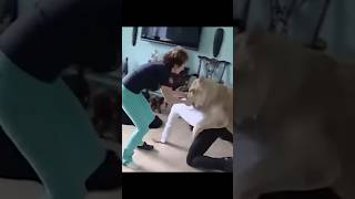 Lion Attack On Man #lion #shorts n