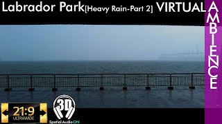 Labrador Park - Heavy Rain Part 2 #ultrawidewalk #DJI #pocket2 #3dsound #4kwalk #ASMR #rainambience