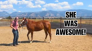 My Wild horse sees the vet~ Her training is paying off!