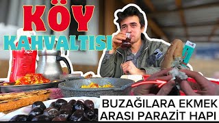 KÖY KAHVALTISI 🍽️ / BUZAĞILARI EKMEK ARASI HAP 💊