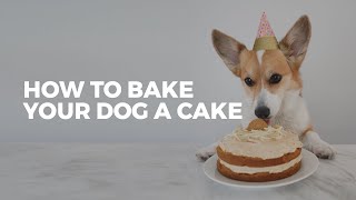 How To Bake Your Dog A Birthday Cake | DOG-FRIENDLY RECIPE