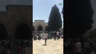 1st Jummah Aqsa Ramadan 2021