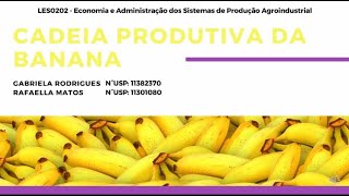 Cadeia Produtiva da Banana - Grupo 9