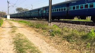 Pathankot Jalandhar city Passenger with regular link WAP5 GZB