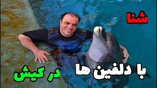 شنا با دلفین ها در کیش