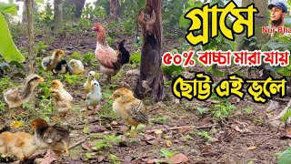 শীতে গ্রামে ৫০% মুরগির বাচ্চা মারা যায় এই ভূলে | শীতে মুরগির বাচ্চা মারা যাওয়ার কারণ | Nur Bhai