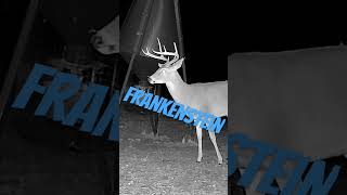 “Frankenstein” #hunting #deer #shorts