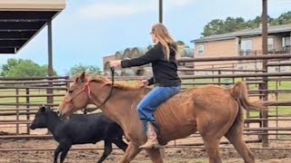 horse riding  | enjoying horse ridding | godhi ki swari | Playing with horse