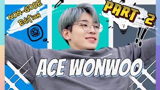 ACE Wonwoo Part 2 | Non GOSE Edition