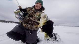 Jigging for Michigan Perch