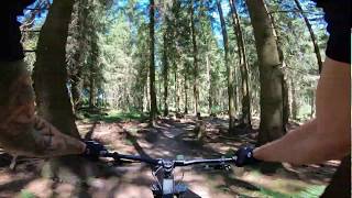 Trailpark Winterberg "Bremberg Trail ONE" auf Trailforks