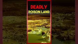 Deadly poison land ☠️😳