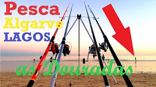 Pesca a dourada no ALGARVE  Lagos Surfcasting LIVE stream FISHING