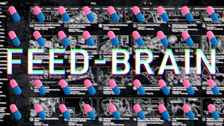 Feed Brain