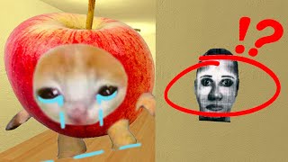 Sad Apple Cat wants me to find and bring Baby Selene Delgado