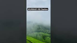 Munnar Hill Station #teaplant #teaplantations #munnar #munnarhills #munnartouristplaces