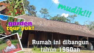 [ENG SUB] Rumah Tua Taman dan Kolam Ikan | Old House and Rooftop Garden Tour