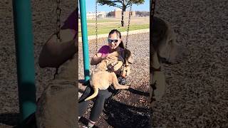 Swinging with my Dog #dog #funnypets