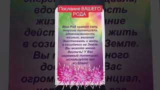 #психология #таро #регрессионнаятерапия #отношения #таронумерология #tarot