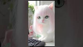 Cute cat video 😍😍#youtubeshorts #cat #shortsviral #cute #catdance #shorts #viralshort #viralvideo