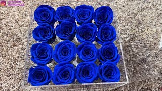 Review Rose Forever New York - Crystal Passion Royal Blue Preserved Roses