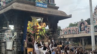 திருவண்ணாமலை அருணாசலேஸ்வரர் ஆலயத்தில் நடைபெற்ற பிரதோஷ வழிபாடு