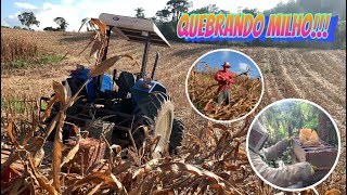 DONO DE COLHEITADEIRA TAMBÉM QUEBRA MILHO!!! 🌽🌽