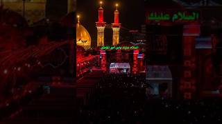 Ashure Ki Din Imam Hussain Ki Ziyarat #shorts