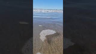 Whangamata Beach water and sand experience