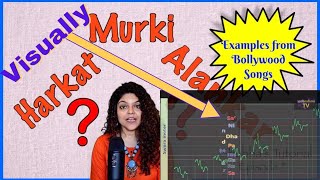 How to visualise Ornaments trills (Hindi) | हरकत मुरकी स्वर कैसे देखें | Shubha Chaki | NadbrahmaTV