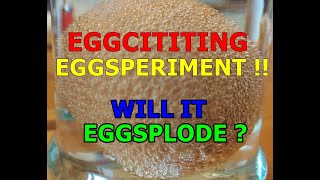 Eggciting Eggsperiment - Removing eggshell with vinegar and cooking it - Will it Eggxplode ??