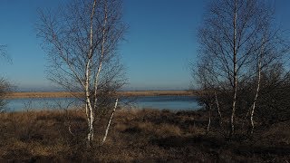 Wanderung Fehmarn Grüner Brink 2019