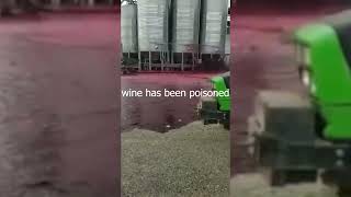 Wine was poisoned by an employee #akoustictv