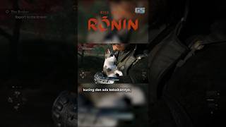 Rise of the Ronin Boleh Bela Kucing!