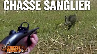 Chasse sanglier - Sangliers en battue