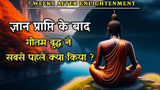 AFTER ENLIGHTENMENT गौतम बुद्ध ने क्या किया ? | Seven weeks of Buddha after enlightenment |#budha