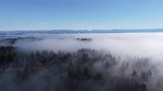 11 29 20 Fog over Puget Sound