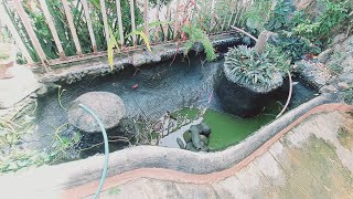 Linis Muna ng Munting Fish Pond